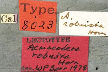Media type: image;   Entomology 8023 Aspect: labels